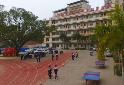 特色校园 龙川县新城初级中学创建孝德特色校园文化 教育引导学生成长成才