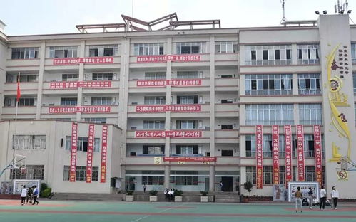 镜头 会东县中学高考前