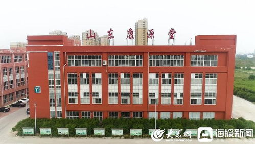 助力乡村振兴 微山县探索生态绿色水产高质量发展之路